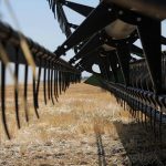 Rusya ile Karadeniz Tahıl Anlaşması resmen sona erdi.